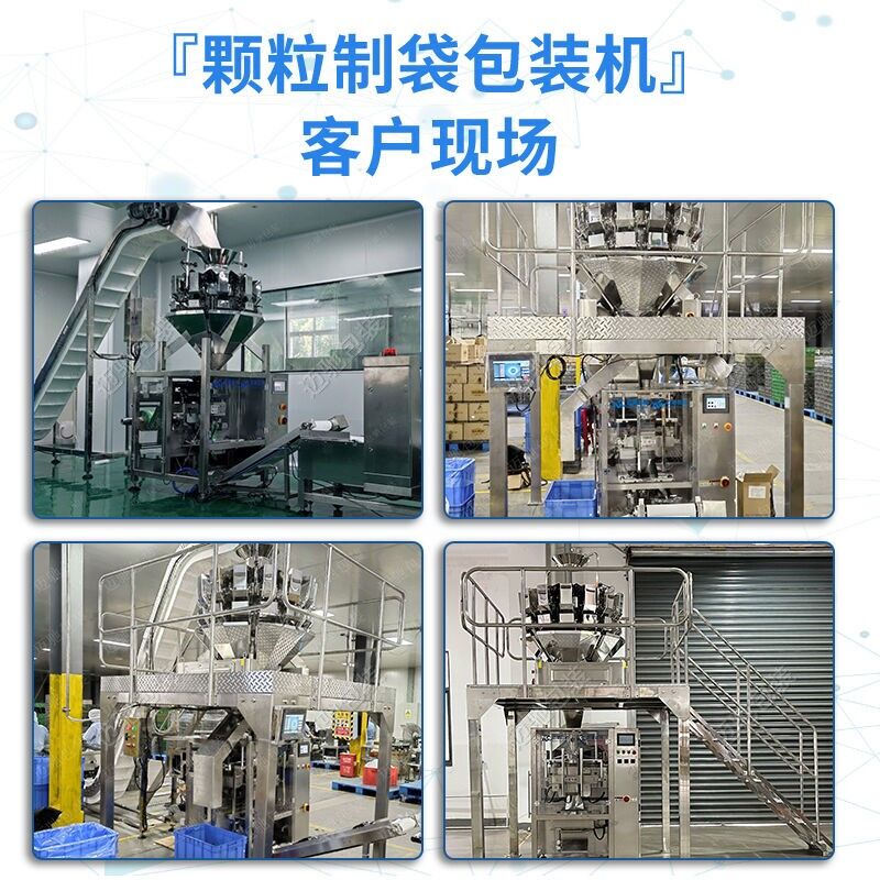 袋裝消毒粉包裝機